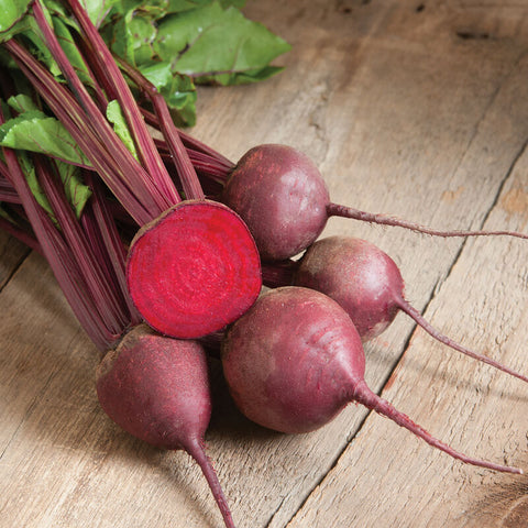 Beet 'Red Ace' (6-Pack)