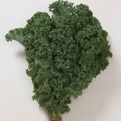 Kale 'Winterbor' (6-Pack)