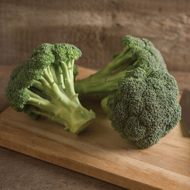 Broccoli 'Green Magic' (6-Pack)