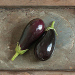Eggplant 'Thanos'