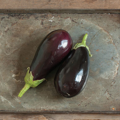 Eggplant 'Thanos'