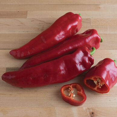 Pepper (Paprika) 'Boldog Hungarian Spice'