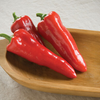 Pepper (Italian Frying) 'Carmen'