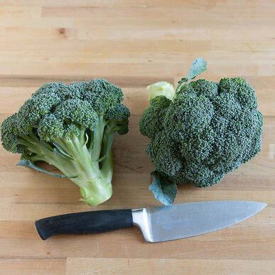 Broccoli 'Belstar' (6-Pack)