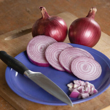 Onions 'Red Carpet' (6-Pack)