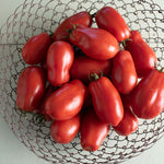 Tomato 'San Marzano 2'