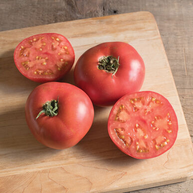 Tomato 'Damsel'