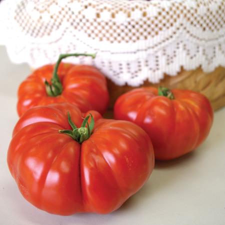 Tomato 'Grandma's Pick'